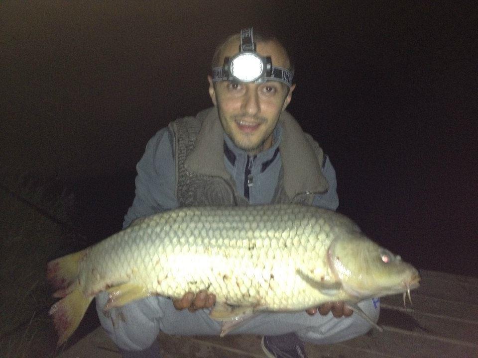 2013 - 9939846392895027630711188000018n.jpg